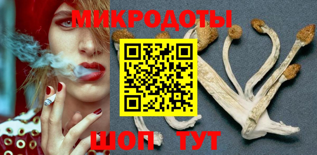Чистополь  Псилоцибиновые грибы мухоморы  где купить наркоту  Вход с VPN  Псилоцибиновые грибы мицелий 